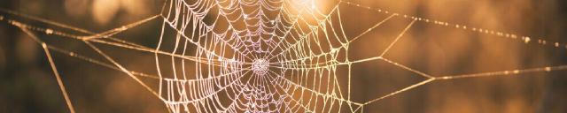 WebAssembly roundup part 1: webR 0.4.2